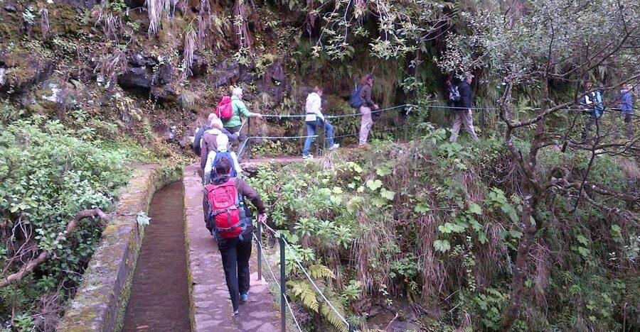 Queimadas Natural Park 5-Hour Guided Hike - From hotel pickup to the start: what your “5 hours” really means