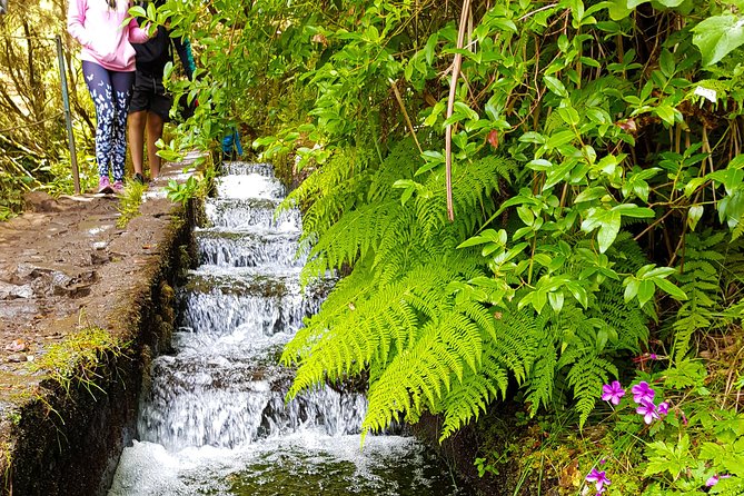 Rabaçal 25 Fontes Levada Walk in Small Groups - Why 25 Fontes and Cascada da Risco together hits so hard