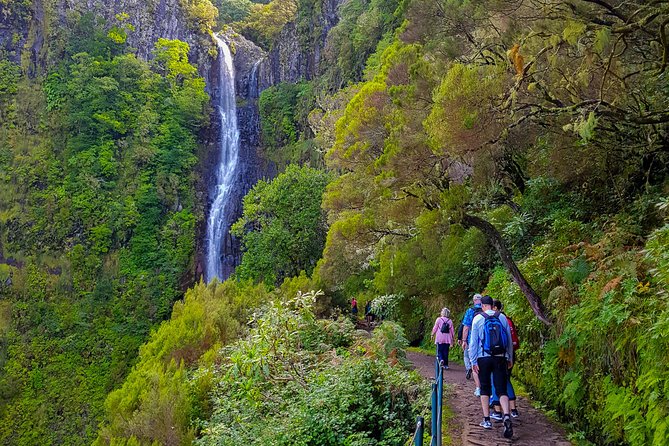 Rabaçal 25 Fontes Levada Walk in Small Groups - What the walk actually feels like inside the Laurisilva