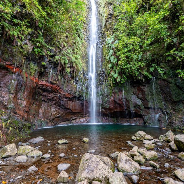 Rabaçal: 25 Fontes & Risco Levada Transfer Self-guided Hike - Key Highlights You Actually Feel on the Trail