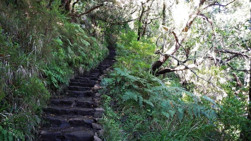Rabaçal: 25 Fontes & Risco Levada Transfer Self-guided Hike - Why This Pairing of Levadas Works So Well