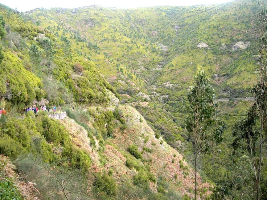 Rabaçal: 25 Fontes & Risco Levada Transfer Self-guided Hike - The Self-Guided Setup: What You Get Before You Walk