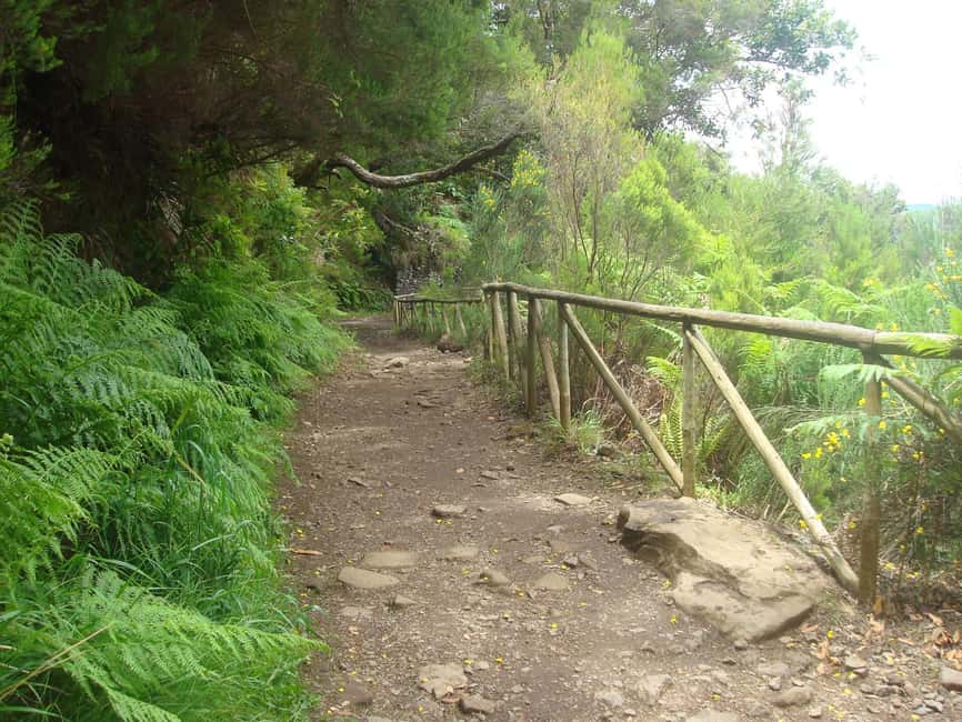 Rabaçal: 25 Fontes & Risco Levada Transfer Self-guided Hike - 25 Fontes: Waterfalls, Stairs, and the Best Crowd Strategy