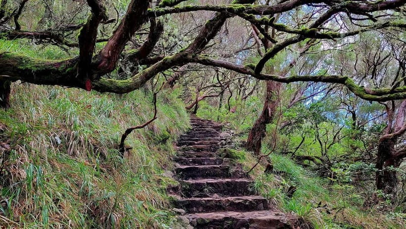 Rabaçal: 25 Fontes & Risco Levada Transfer Self-guided Hike - Risco Levada: The One That Feels Less Crowded and More Water-Forward