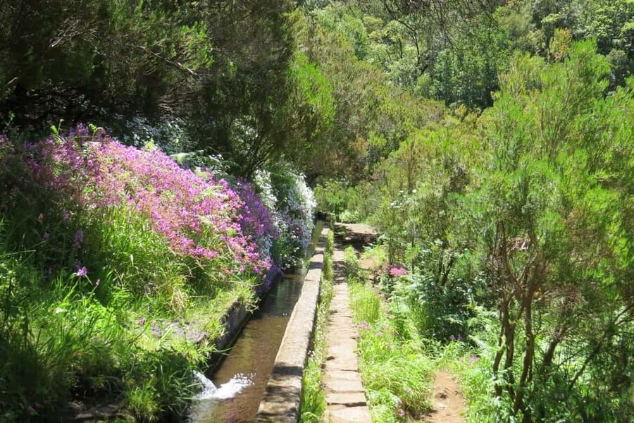 Rabaçal: 25 Fontes & Risco Levada Transfer Self-guided Hike - Casa do Rabaçal Cafe: Where Your Day Finishes (and Where You Might Need Coins)