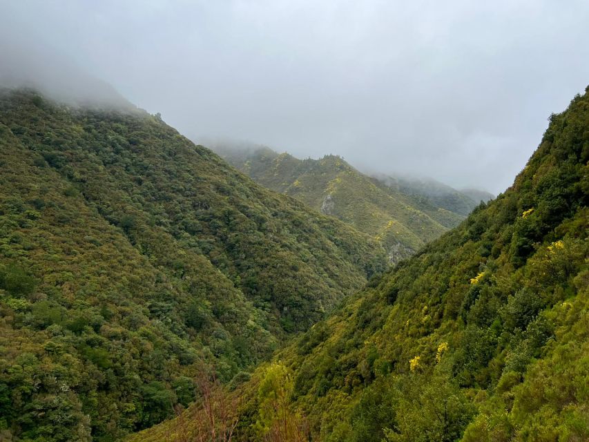 Rabaçal: 25 Fontes & Risco Levada Transfer Self-guided Hike - Getting from Funchal to Rabaçal, Without Stressing Over Roads