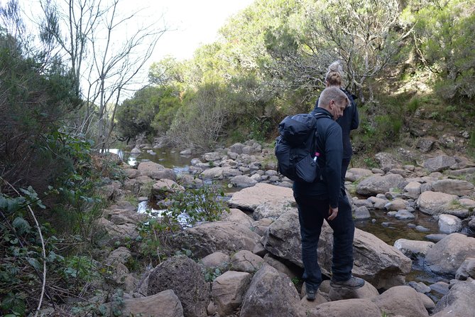Rabaçal Hiking Tour - Levada das 25 Fontes: Where the Hike Becomes the Story