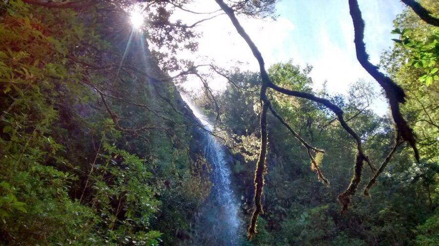 Rabaçal: Lagoa do Vento, Levada Risco and Levada 25 Fontes - Quick take: what’s special about Rabaçal