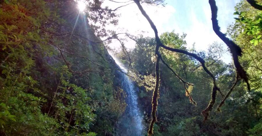 Rabaçal: Lagoa do Vento, Levada Risco and Levada 25 Fontes - Getting to Rabaçal Valley from Madeira (and why the drive helps)