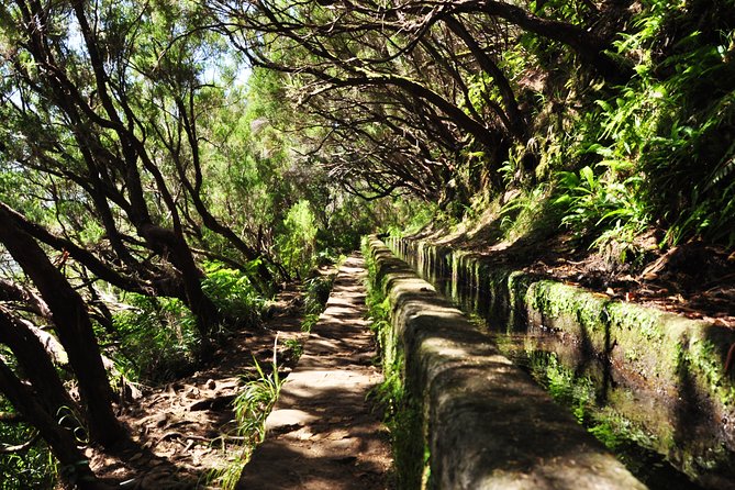 Rabaçal - Levada das 25 Fontes - Timing: How The 8 Hours Break Down For A 4-Hour Walk