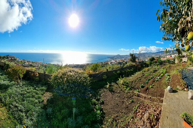 "Re-Canto" Farm-to-Table with Stunning Views at Madeira - Price and Value: Why $72.41 Often Feels Like a Deal