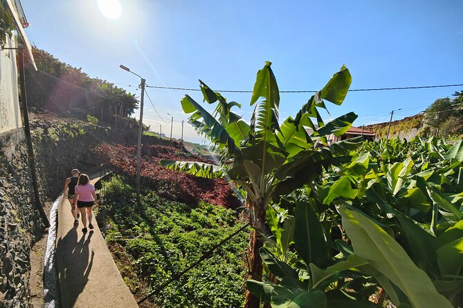 Real Life, Mountains & Sea Cliffs (Nun´s Valley View) - Half Day 4x4 Tour - Jardim da Serra coffee break: local flavors, not an automated stop