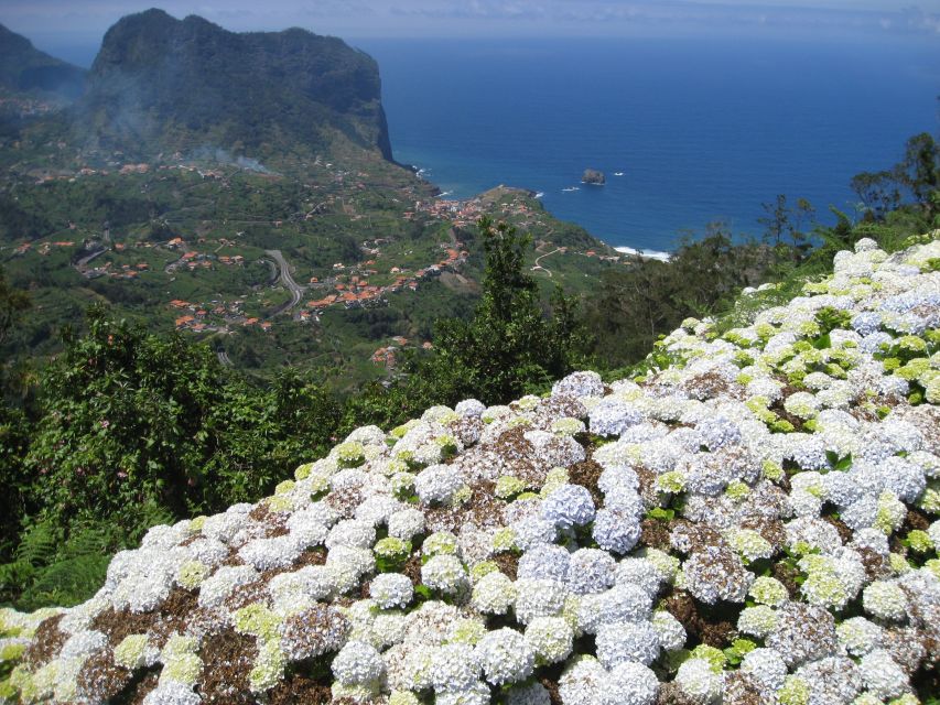 Referta & Castelejo: Half-Day Morning Walk - Why this Levada do Castelejo walk is such a good Madeira choice