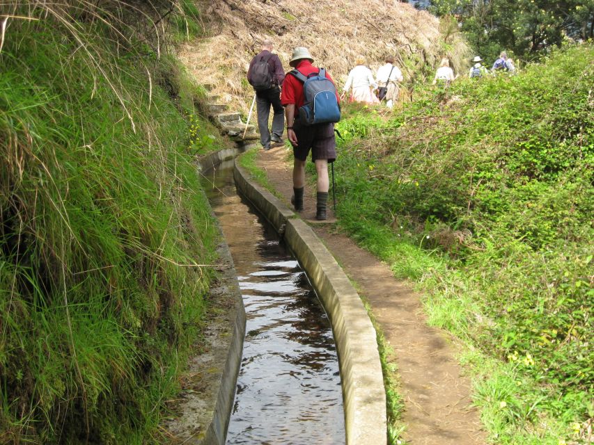 Referta & Castelejo: Half-Day Morning Walk - From start to first views: following the Levada do Castelejo path