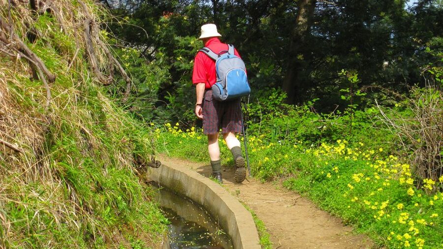 Referta / Castelejo - Levada Walk - Why this easy levada walk is a smart Madeira day