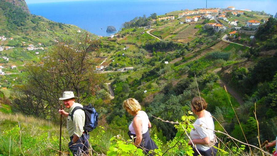 Referta / Castelejo - Levada Walk - Price, languages, and pacing: is $38 worth your time?