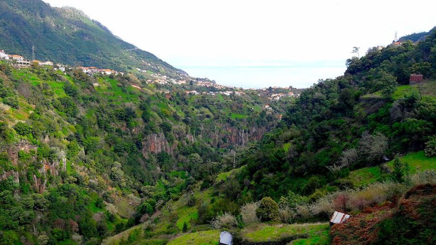 Referta / Castelejo - Levada Walk - Tips to make the walk easy, safe, and photo-friendly