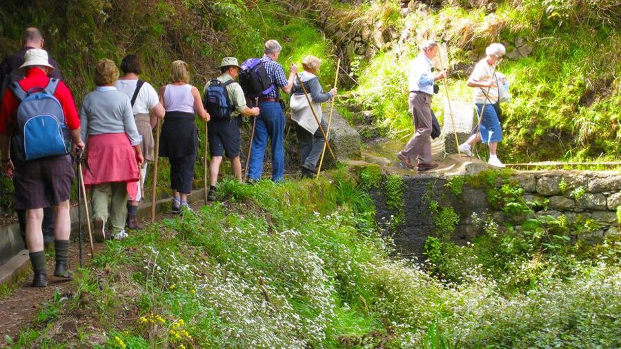 Referta / Castelejo - Levada Walk - The 4-hour route: what happens from pickup to the first steps