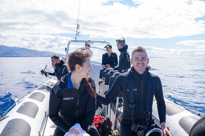 Responsible Whales and/or Dolphins Watching Tour - Comfort and motion tips for a speedy boat on the Atlantic