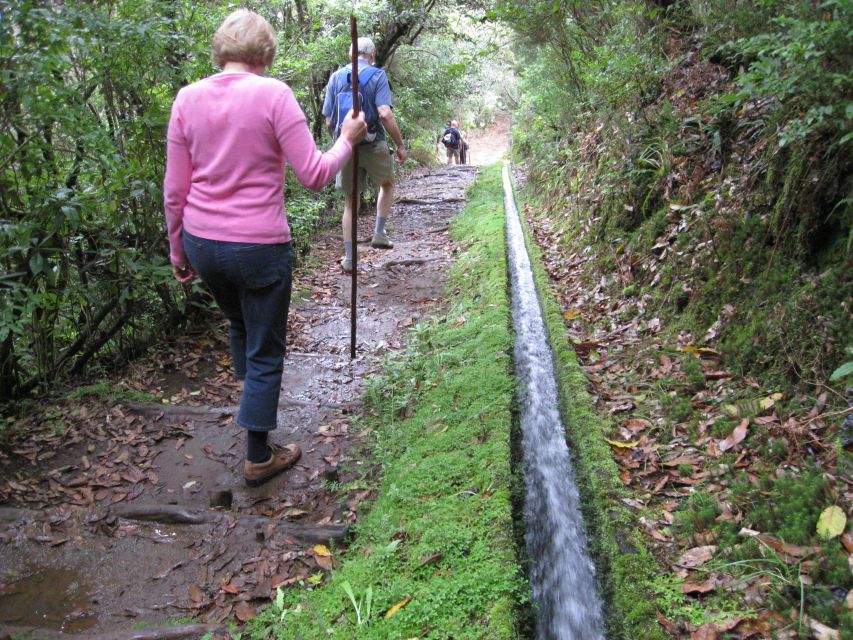 Ribeiro Frio / Portela - Levada Walk - Key Highlights I’d Put at the Top