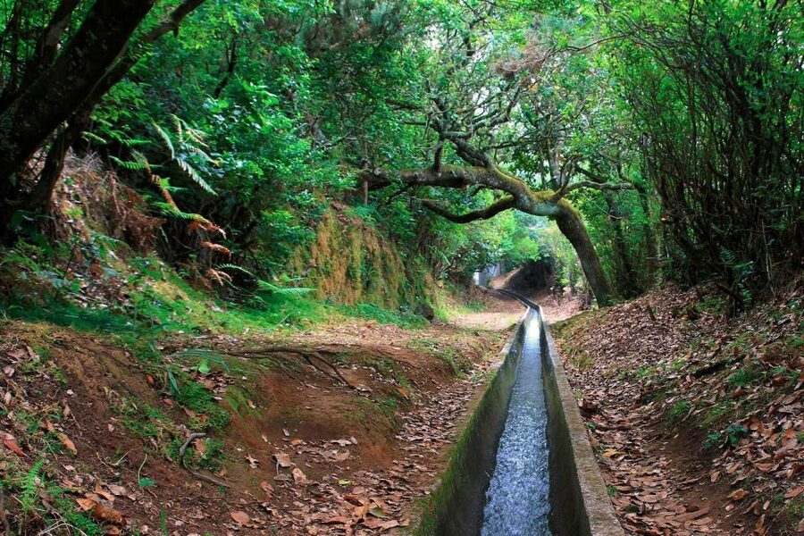 Ribeiro Frio / Portela - Levada Walk - Price and Value: Is $50 Worth It?