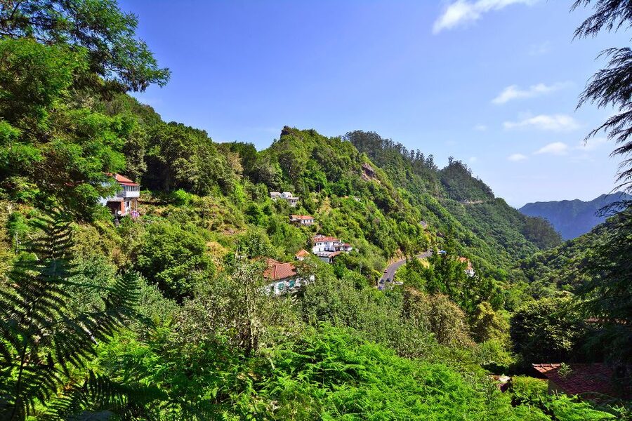 Ribeiro Frio / Portela - Levada Walk - Why Ribeiro Frio to Portela Is the Levada Walk Everyone Talks About