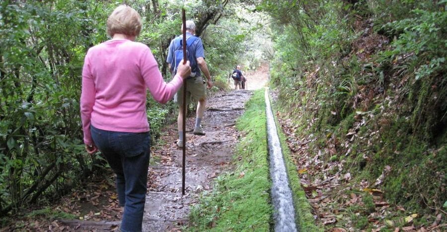 Ribeiro Frio / Portela - Levada Walk - The Trout Pond Moment and Why It’s Better Than It Sounds