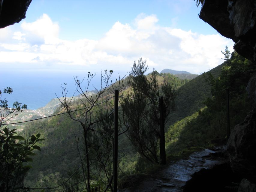 Ribeiro Frio / Portela - Levada Walk - Spotting Endemic Flora and Fauna Without Turning It Into a Lecture