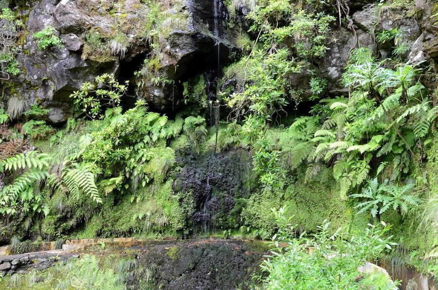 Ribeiro Frio / Portela - Levada Walk - What to Bring for This Walk (So You Don’t Have to Panic Later)