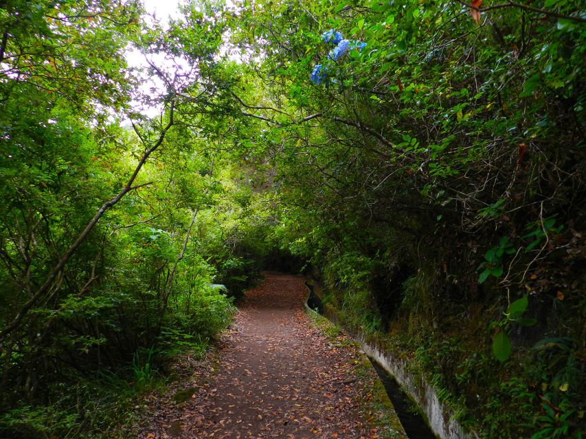 Ribeiro Frio / Portela - Levada Walk - The Easy Win: Getting Set Up for a Smooth Start