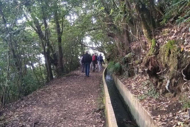 Ribeiro Frio - Portela - The 11 km walk: pace, effort, and what you should expect