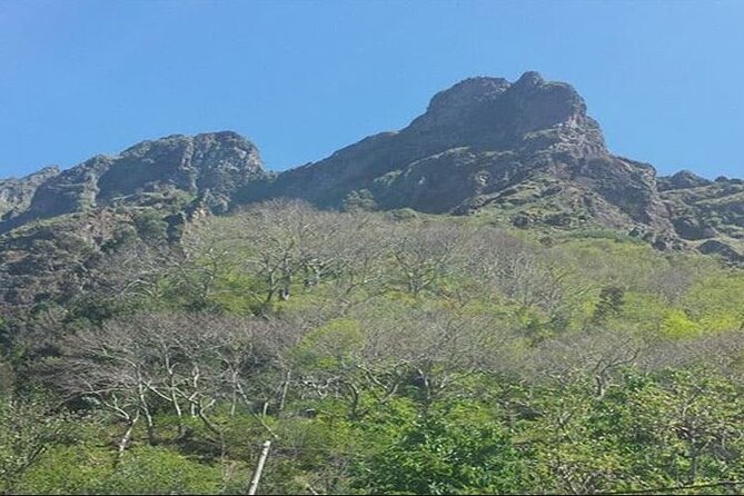 Scenic Route - Nuns Valley Tour - Price and value: what you pay for at $27.93 per person