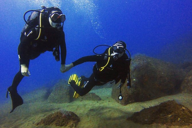 Scuba Diving Experience in Madeira - Price and value: what $50.81 gets you, plus possible extras