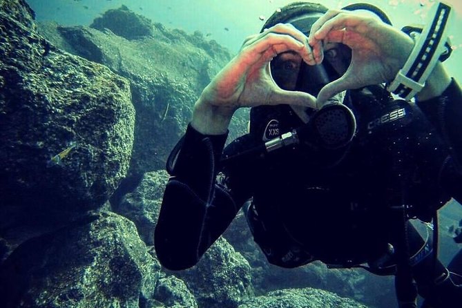 Scuba Diving Experience in Madeira - Timing, weather, and how to plan your Madeira day