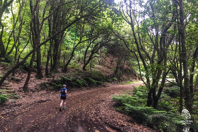 Sea 2 Mountain Running Tour (Moderate-Hard) - Sea to Mountain in about 4 Hours, what the effort really feels like