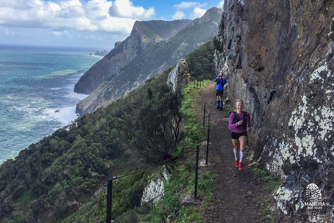 Sea 2 Mountain Running Tour (Moderate-Hard) - Laurisilva forest running, where shade changes everything