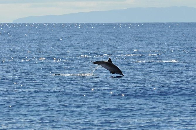 Seaborn Catamaran trips - Cabo Girao stop: a coast-view moment that breaks up the cruise