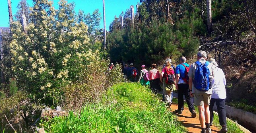 Serra de Água Valley Levada Walk - Levada walking in plain English: why this is special