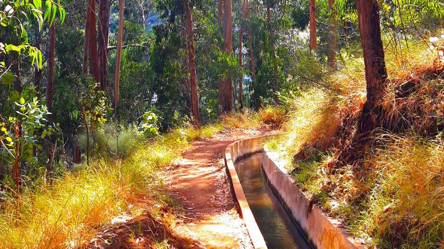 Serra de Água Valley Levada Walk - The walk itself: 5km, easy legs, and real-world footing