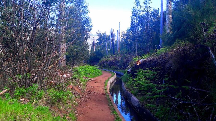 Serra de Água Valley Levada Walk - How the guide brings the levada system to life