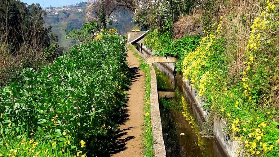 Serra de Água Valley Levada Walk - The end stop: coffee and pastel de nata, and why it’s worth planning for