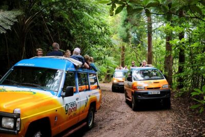 Shore Excursion – East Madeira Peaks & Santana