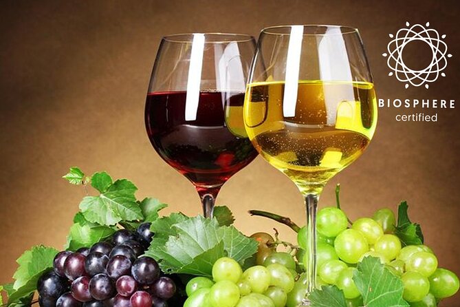 Signature Wine Tastings, Skywalk, Nature 4x4 Open Roof Expedition - The Open-Roof 4x4 Ride: How to Pack and What It Feels Like