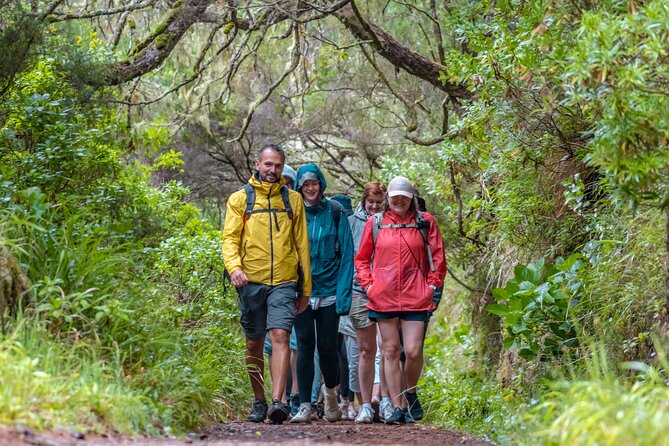 Skywalk 4x4 Experience and Rabacal 25 Fountains Levada Walk - Rabaçal and the 25 Fontes levada: why this walk is the core of the day