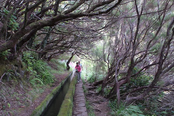 Skywalk 4x4 Experience and Rabacal 25 Fountains Levada Walk - Who this tour suits best