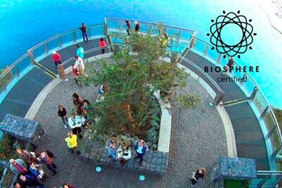 Skywalk, Amazing Views & Wine Tasting in Open Roof 4×4 Adventure