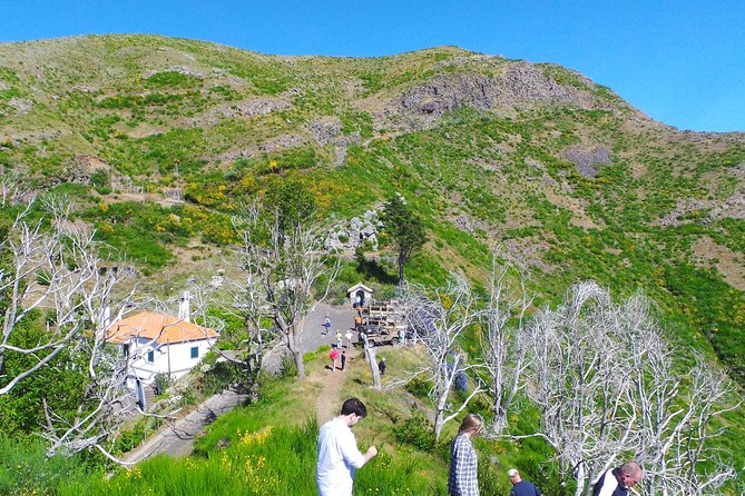 Skywalk, Amazing Views & Wine Tasting in Open Roof 4x4 Adventure - Wine Tasting in Funchal, Plus the Poncha Culture Bonus
