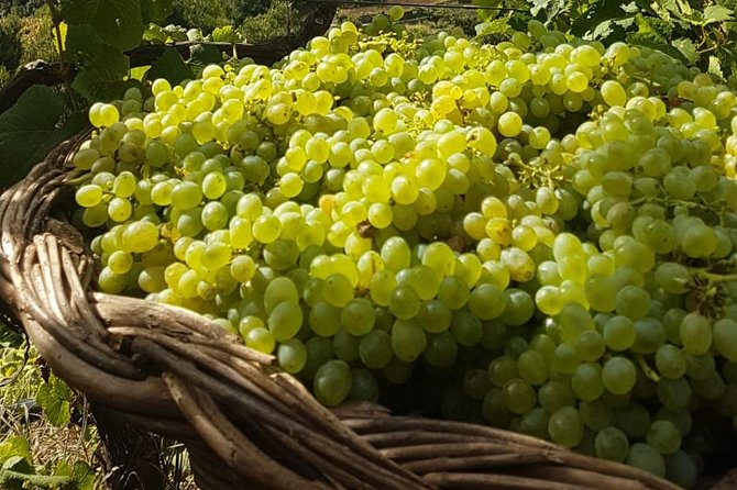 Skywalk with Wines Tasting and Vineyards Half day 4x4 Adventure - Wine Tastings That Actually Feel Like a Winery Visit