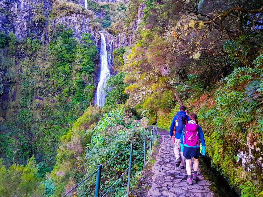 Small Group Walks Rabaçal 25 Fontes - Key highlights you will care about