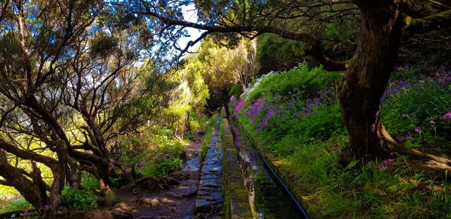 Small Group Walks Rabaçal 25 Fontes - The walking effort: how steep is it really in a 4-hour half-day?